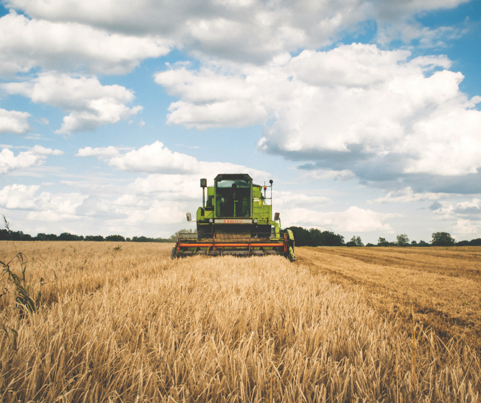 Massimo Bulbi - Progetto di legge per interventi urgenti in agricoltura